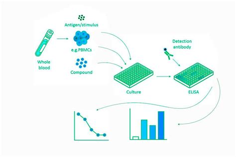 elisa kit cytokines|cytokine assay protocol.